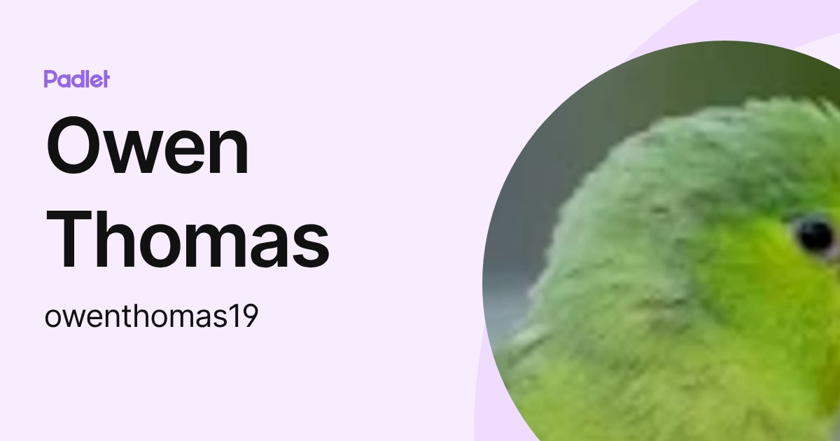 Owen Thomas (owenthomas19) profile | Padlet