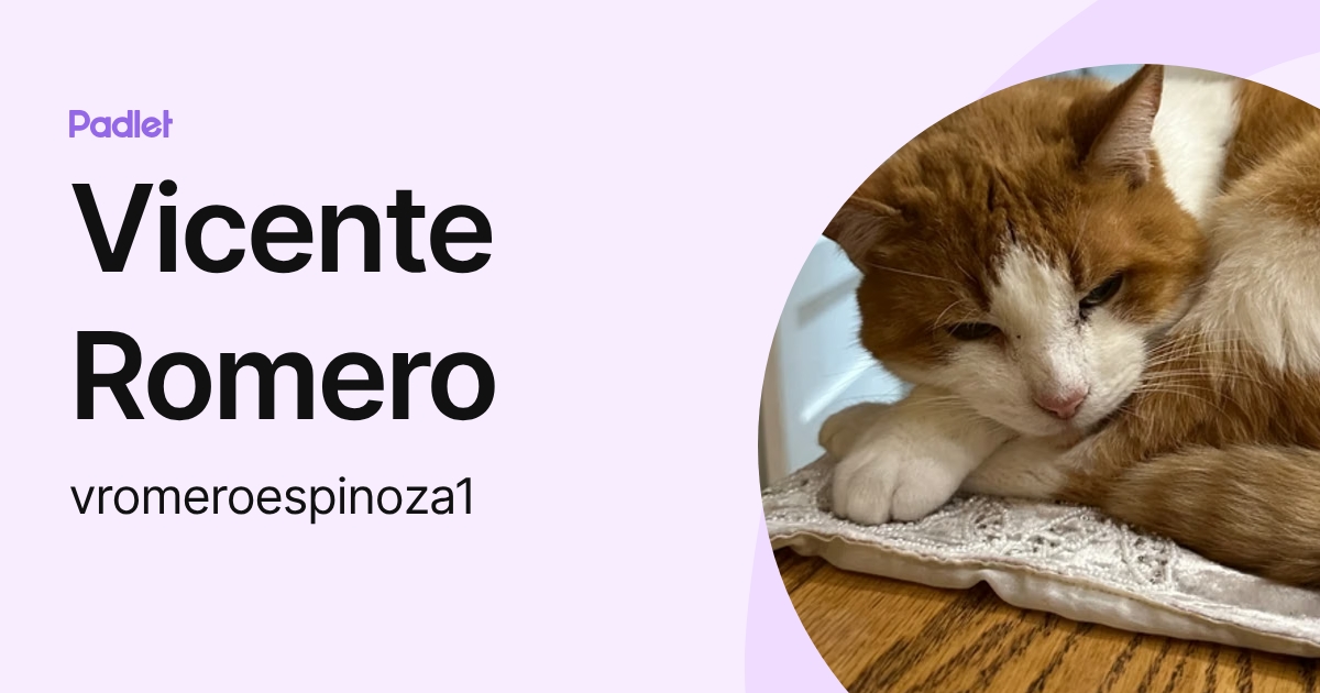 Vicente Romero (vromeroespinoza1) profile | Padlet