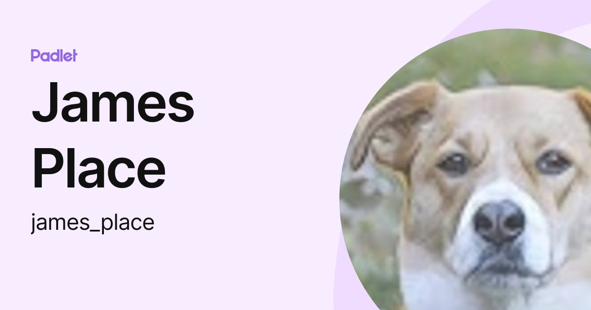 James Place James Place Profile Padlet