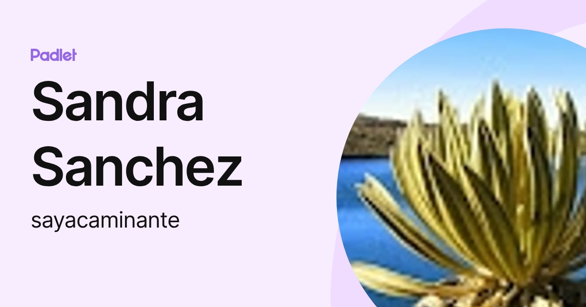 Sandra Sanchez (sayacaminante) profile | Padlet