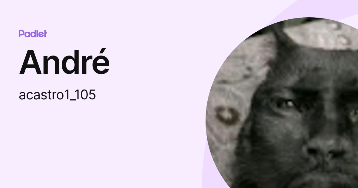 André (acastro1_105) profile | Padlet