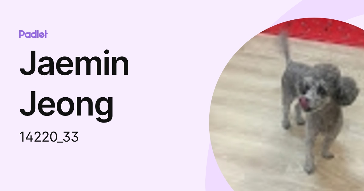 Jaemin Jeong (14220_33) profile | Padlet