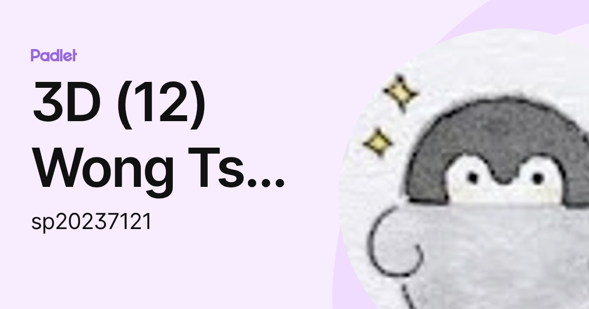 3D (12) Wong Tsz Shun Jayden (sp20237121) profile | Padlet
