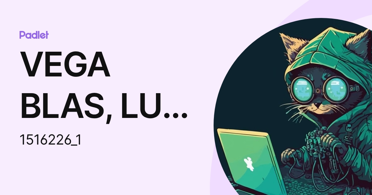 VEGA BLAS, LUIS FERNANDO (1516226_1) profile | Padlet