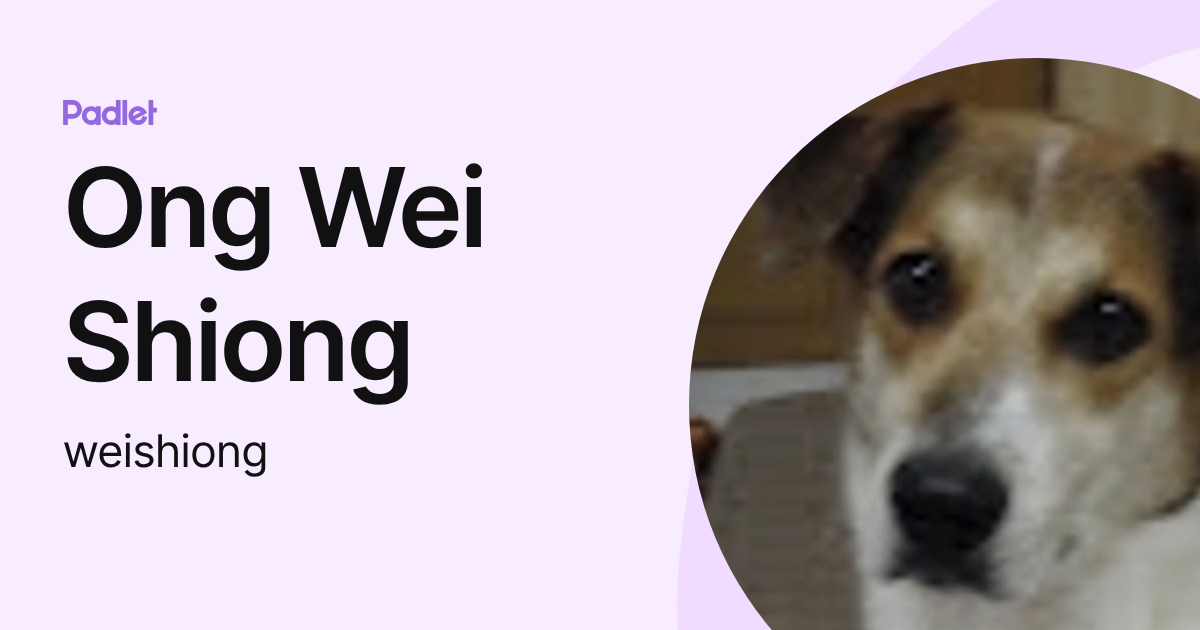 Ong Wei Shiong (weishiong) profile | Padlet