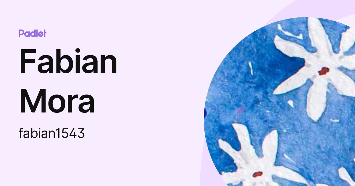 Fabian Mora (fabian1543) profile | Padlet