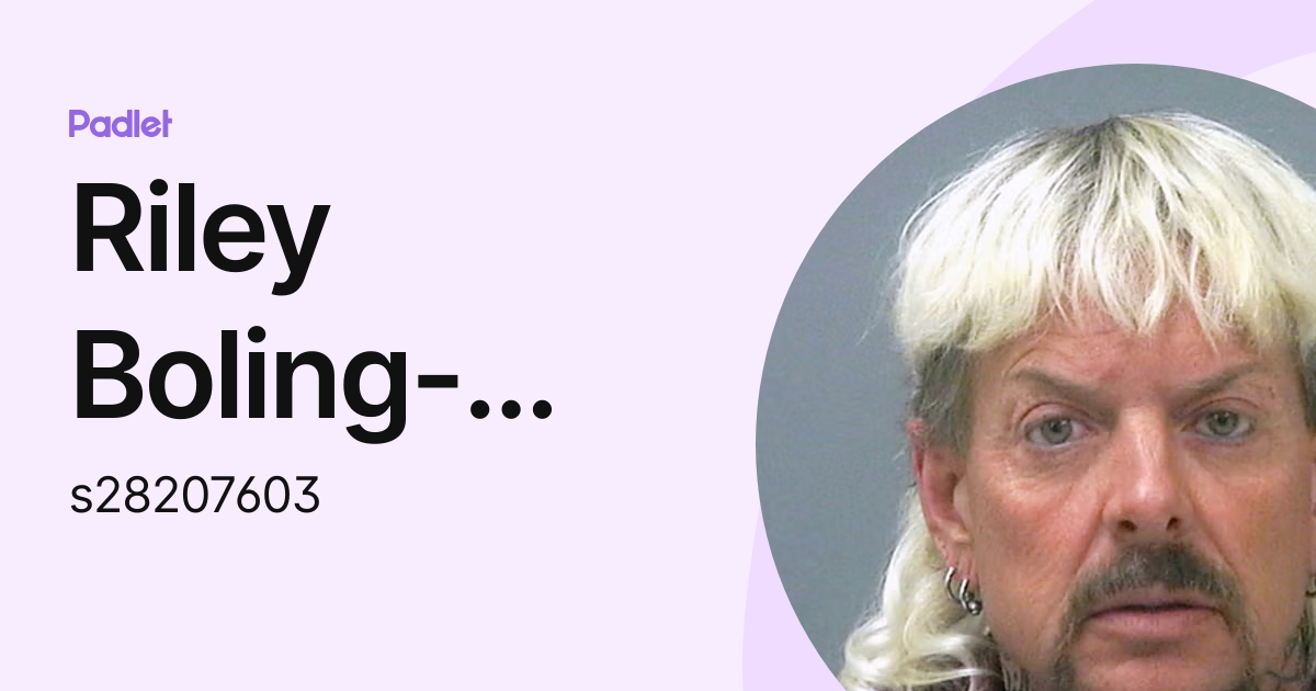 Riley Boling-Orlando (s28207603) profile | Padlet