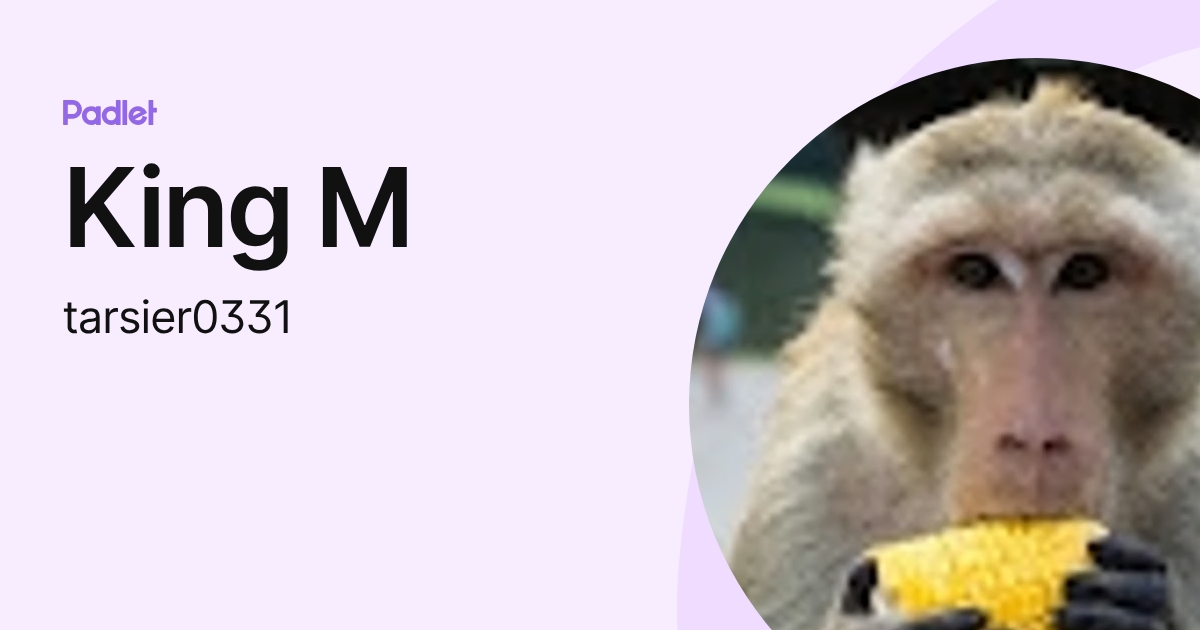 King M (tarsier0331) profile | Padlet