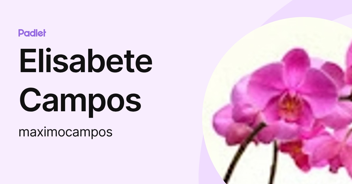 Elisabete Campos (maximocampos) profile | Padlet