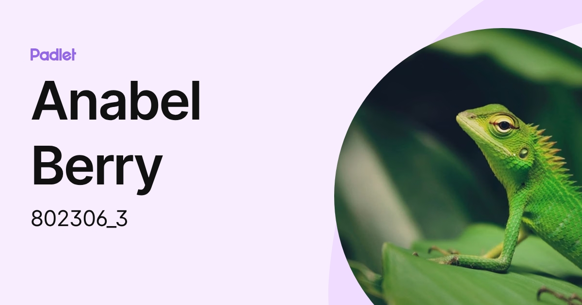 Anabel Berry (802306_3) profile | Padlet