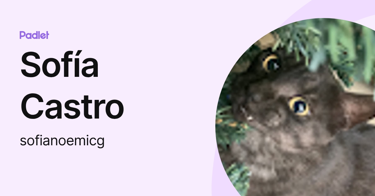 Sofía Castro (sofianoemicg) profile | Padlet