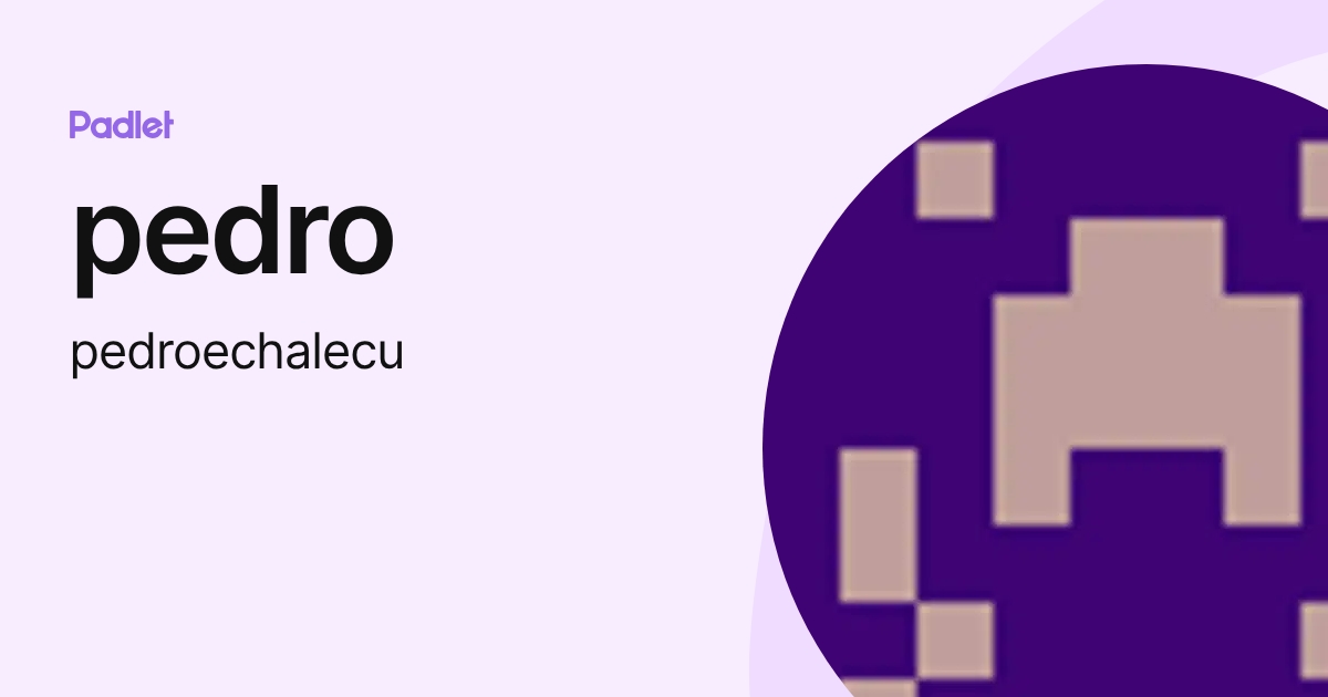 pedro (pedroechalecu) profile | Padlet
