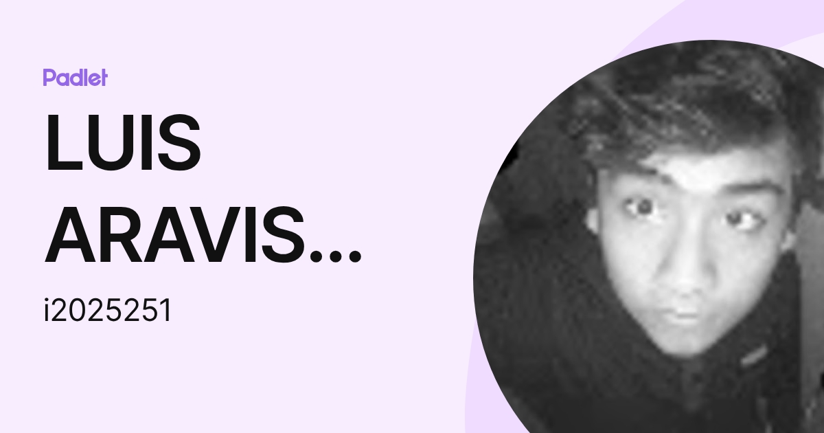 LUIS ARAVIS ILLESCA MEDINA (i2025251) profile | Padlet