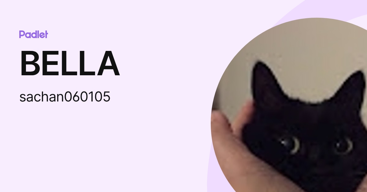 BELLA (sachan060105) profile | Padlet