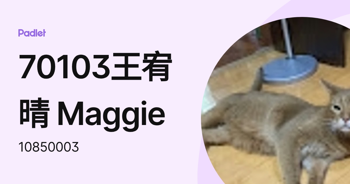 70103王宥晴 Maggie (10850003) profile | Padlet
