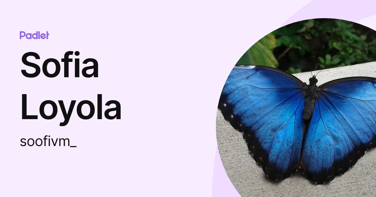 Sofia Loyola (soofivm_) profile | Padlet