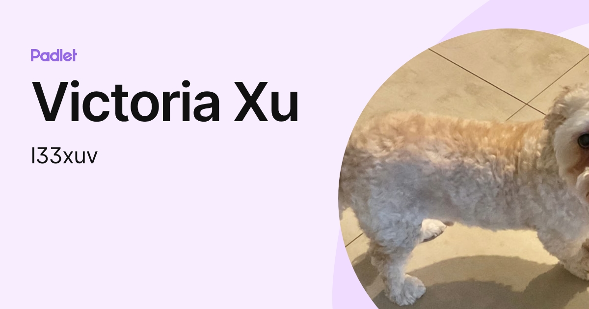 Victoria Xu (l33xuv) profile | Padlet