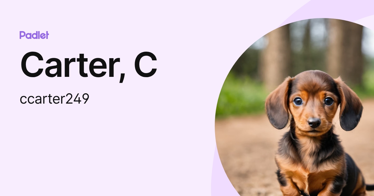Carter, C (ccarter249) profile | Padlet