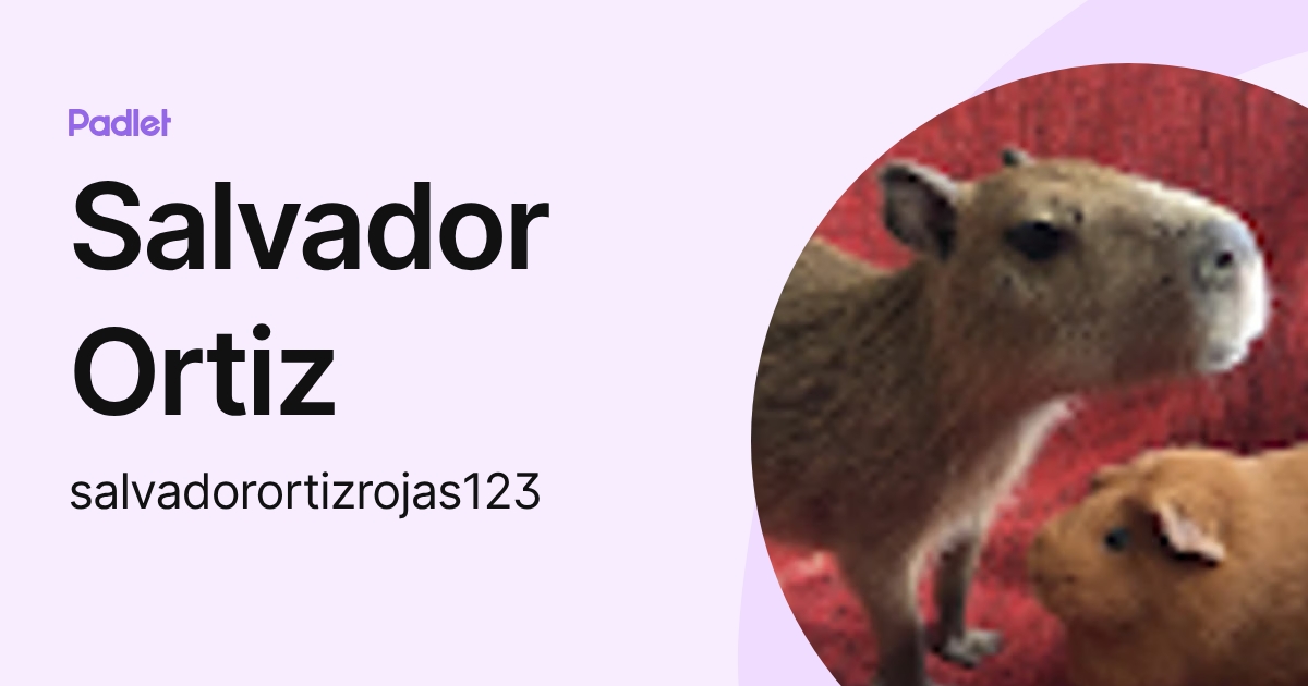 Salvador Ortiz (salvadorortizrojas123) profile | Padlet