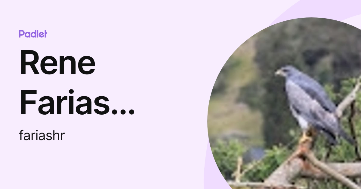 Rene Farias Fierro (fariashr) profile | Padlet