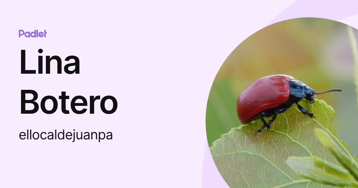 Lina Botero (ellocaldejuanpa) profile | Padlet