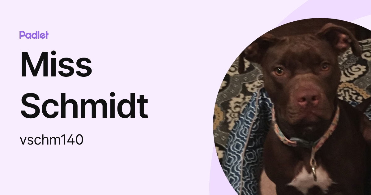 Miss Schmidt (vschm140) profile | Padlet