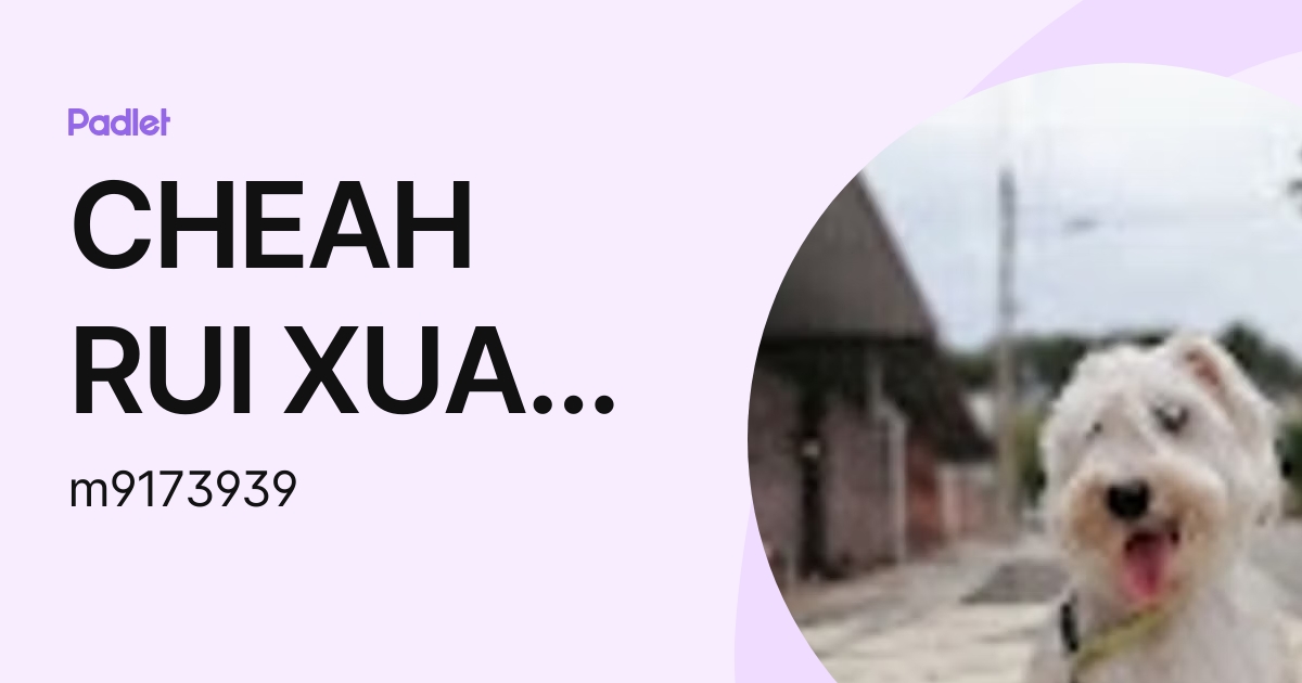 CHEAH RUI XUAN Moe (m9173939) profile | Padlet