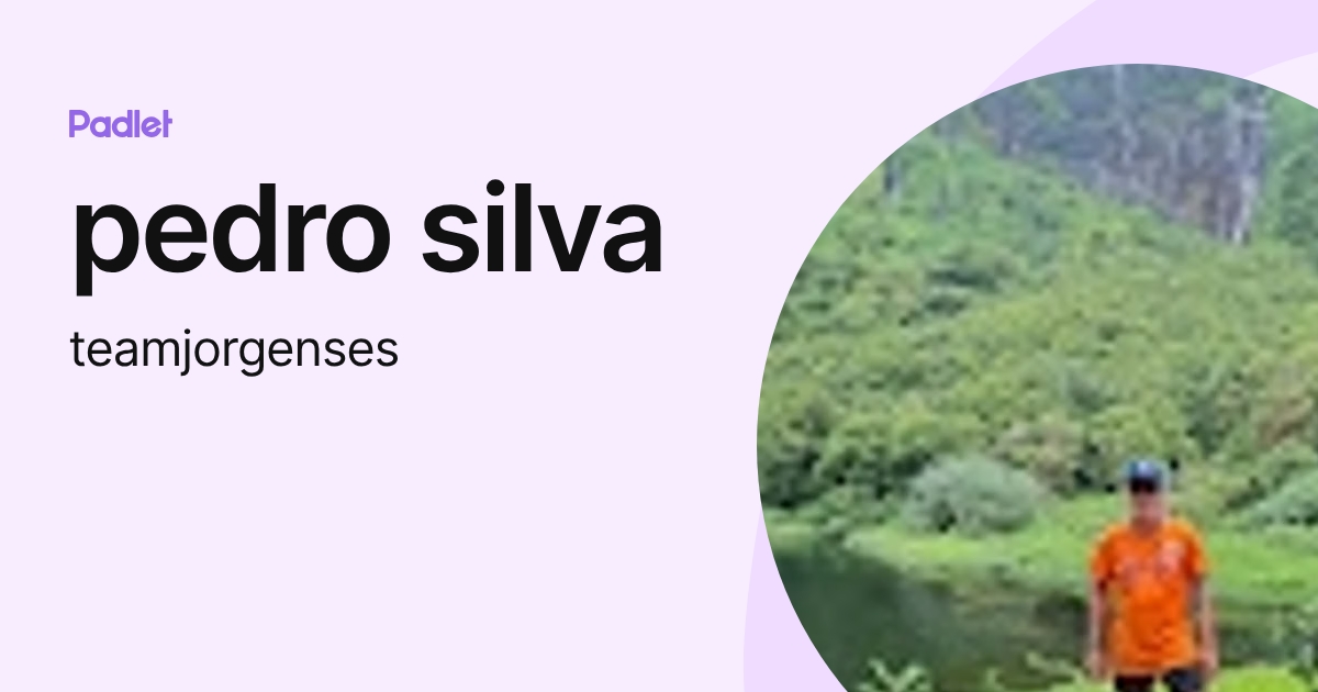 pedro silva (teamjorgenses) profile | Padlet