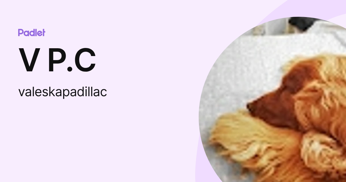 V P.C (valeskapadillac) profile | Padlet