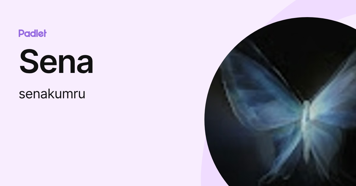 Sena (senakumru) profile | Padlet