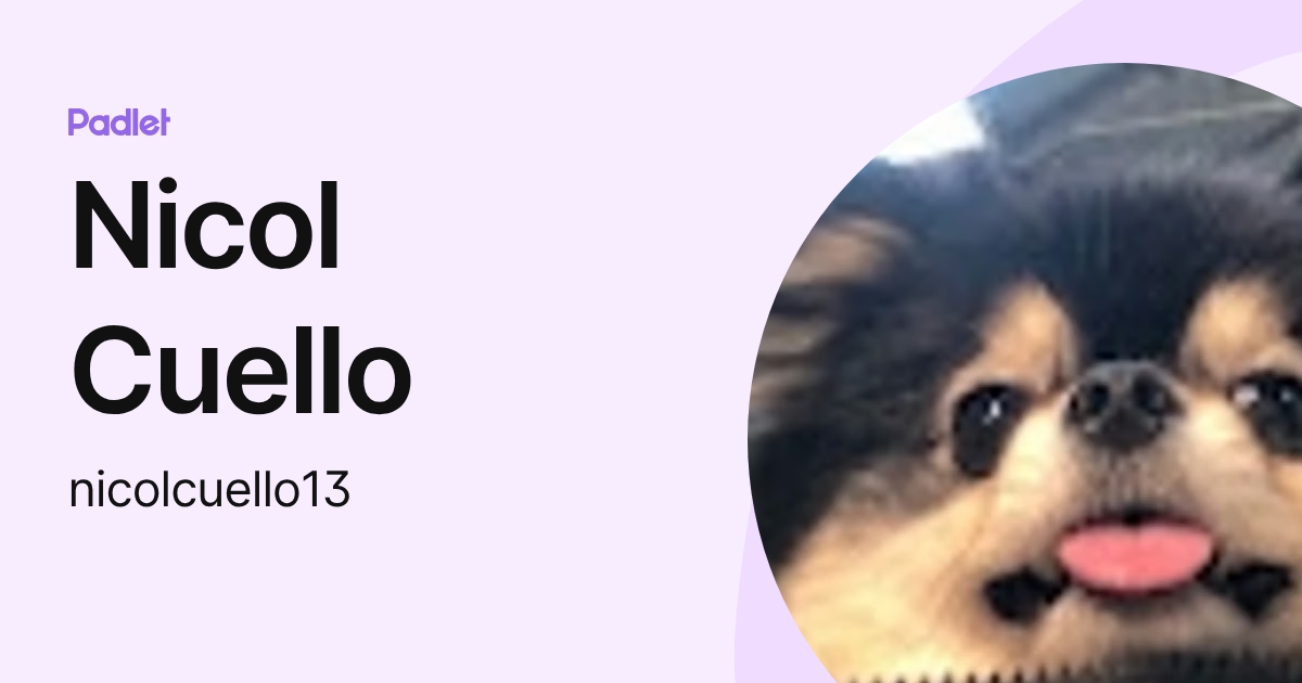 Nicol Cuello (nicolcuello13) profile | Padlet