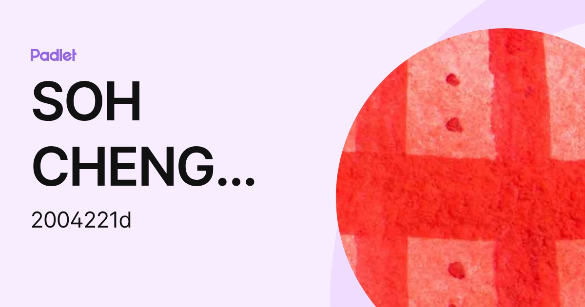 SOH CHENG YONG KEITH (2004221d) profile | Padlet