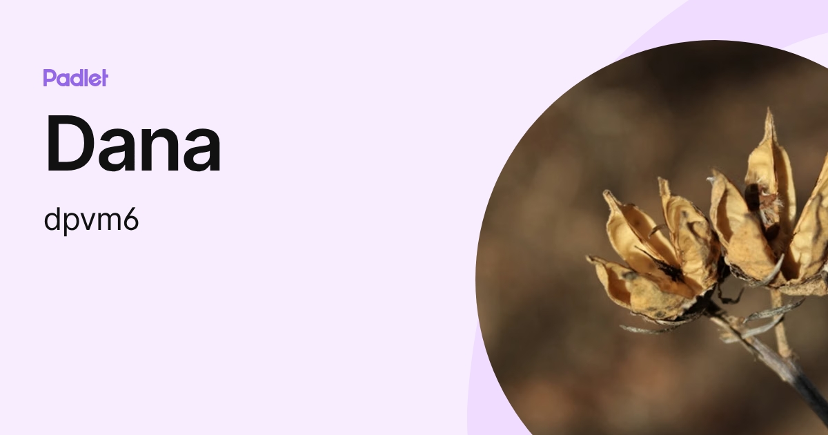 Dana (dpvm6) profile | Padlet