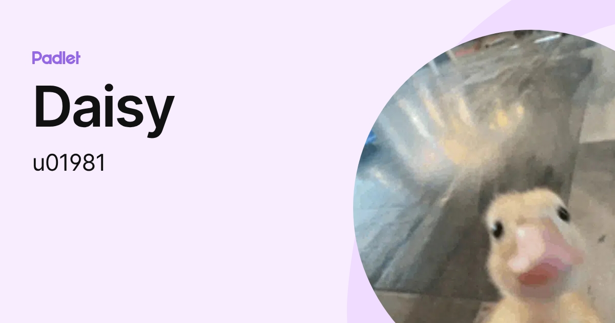Daisy (u01981) profile | Padlet