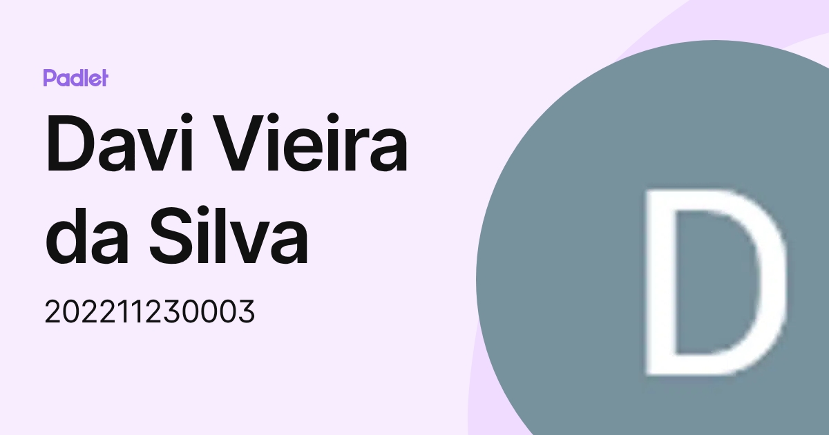 Davi Vieira da Silva (202211230003) profile | Padlet
