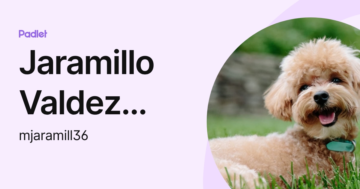 Jaramillo Valdez Maite Alejandra (mjaramill36) profile | Padlet