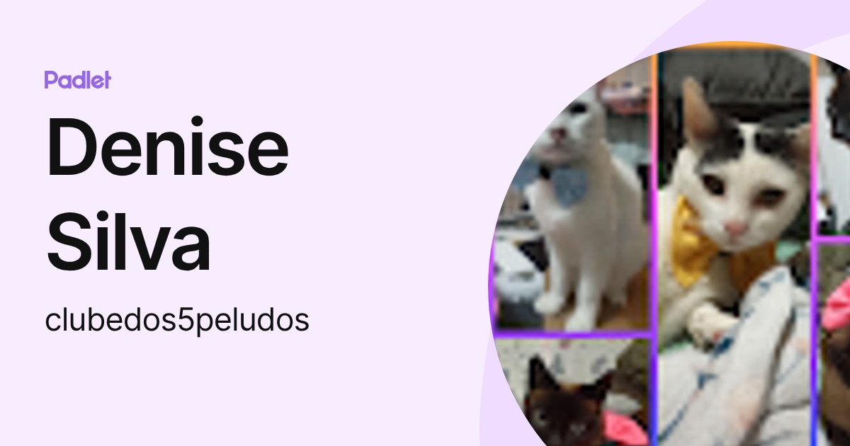 Denise Silva (clubedos5peludos) profile | Padlet