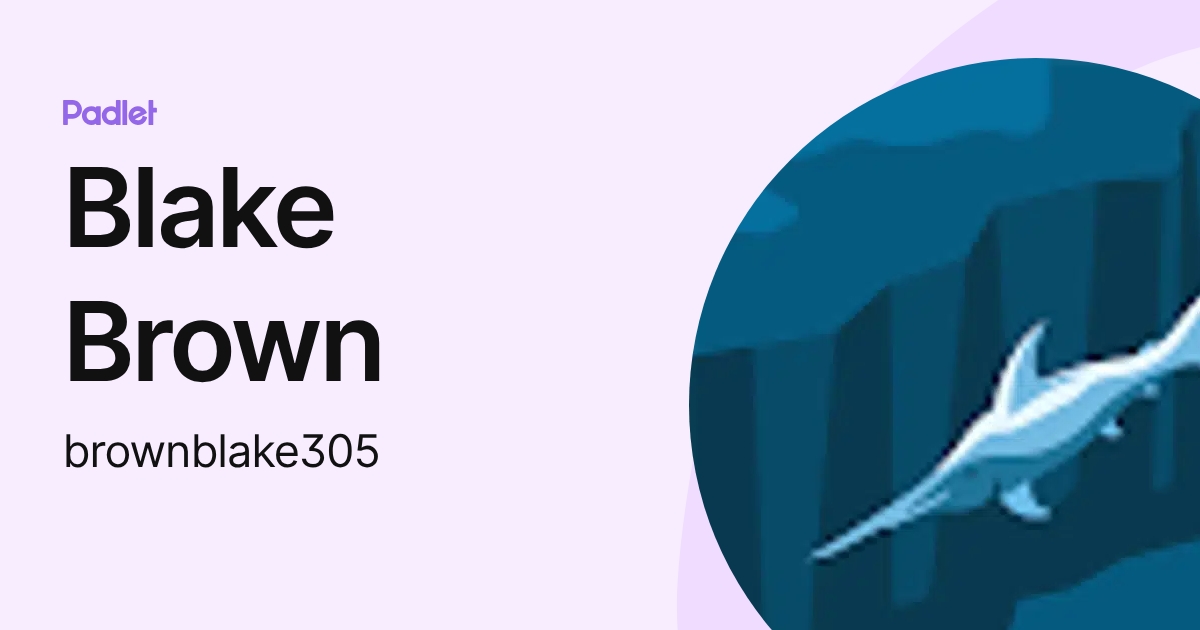 Blake Brown (brownblake305) profile | Padlet