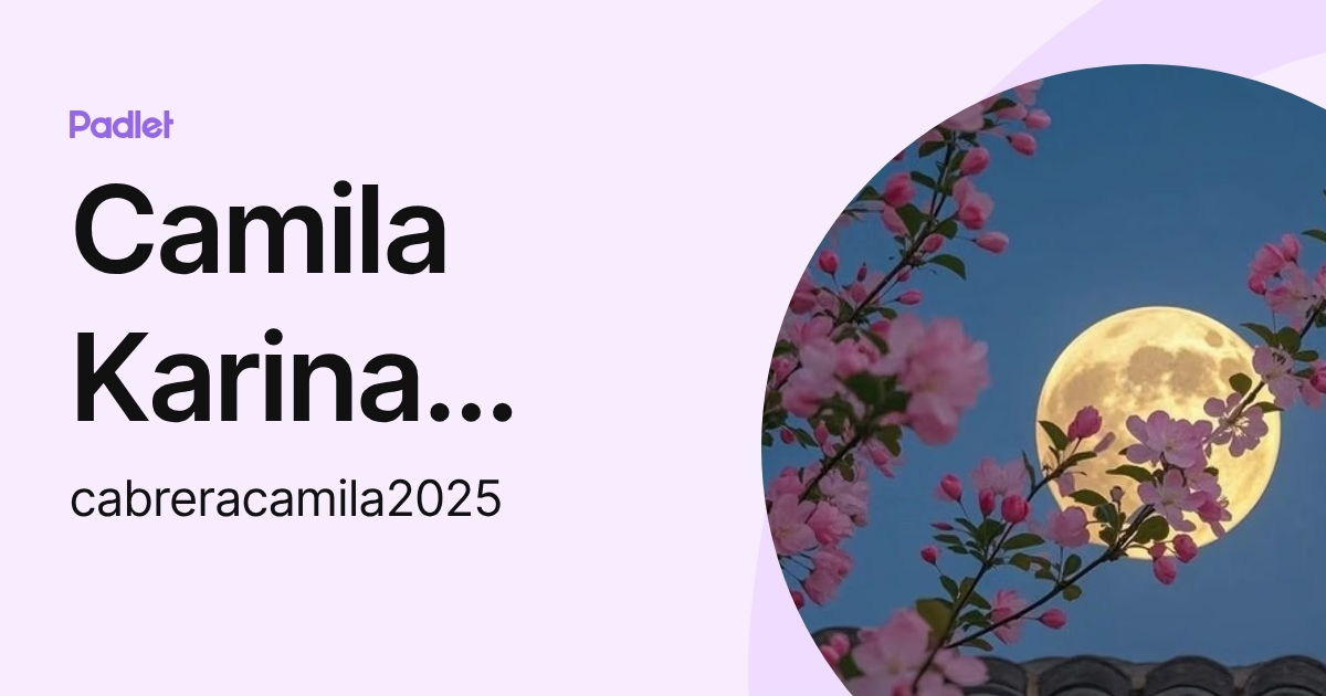 Camila Karina Cabrera (cabreracamila2025) profile | Padlet