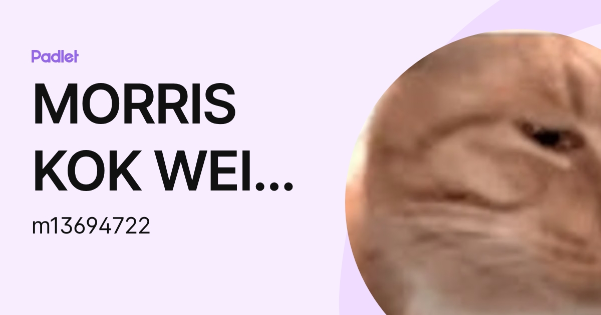 MORRIS KOK WEI KIAN Moe (m13694722) profile | Padlet