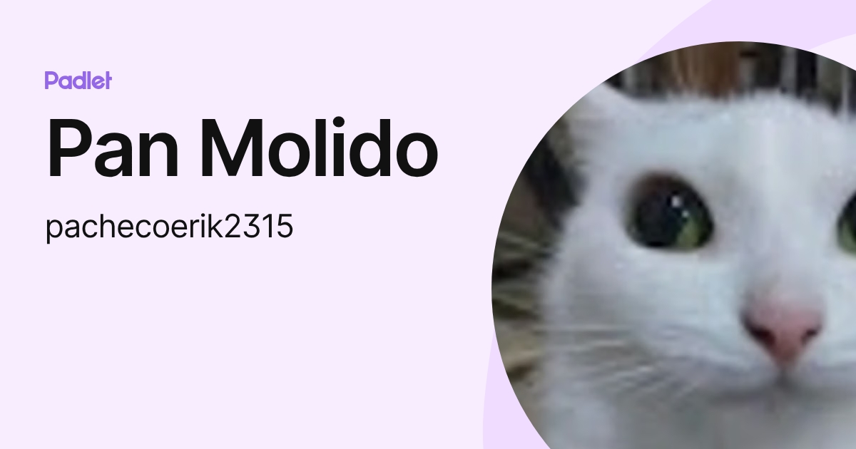 Pan Molido (pachecoerik2315) profile | Padlet
