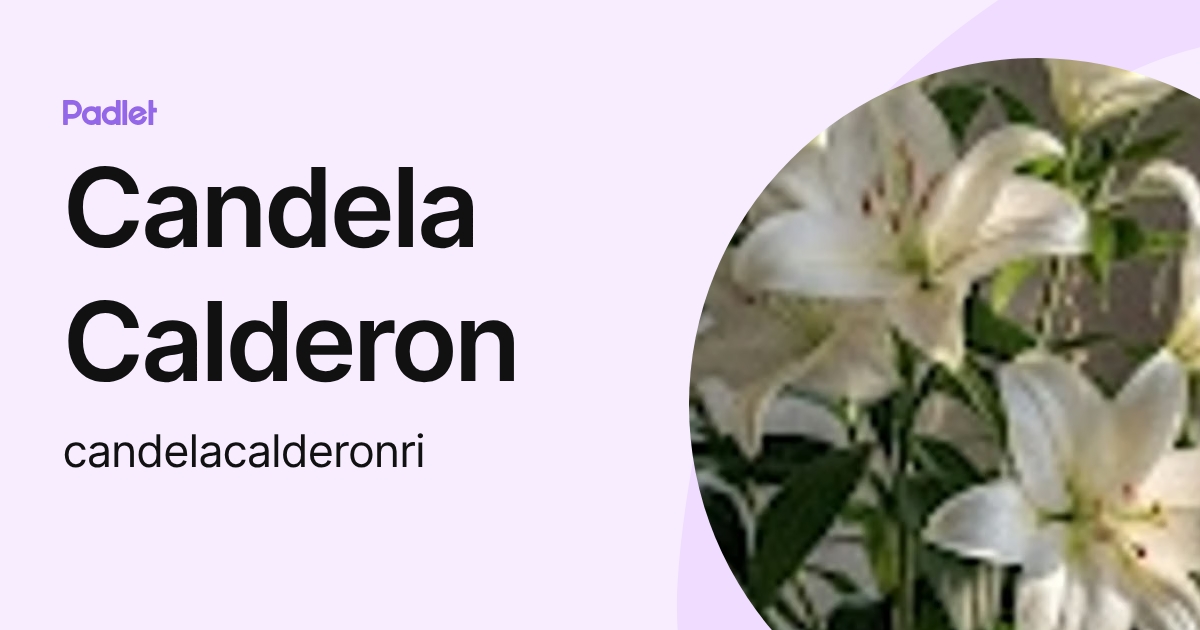 Candela Calderon (candelacalderonri) profile | Padlet