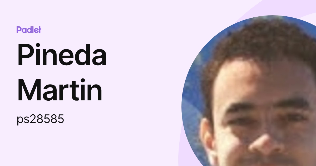 Pineda Martin (ps28585) profile | Padlet