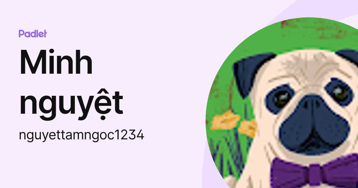 Minh nguyệt (nguyettamngoc1234) profile | Padlet