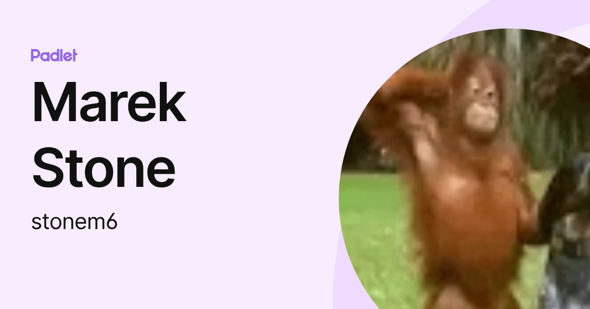 Marek Stone (stonem6) profile | Padlet