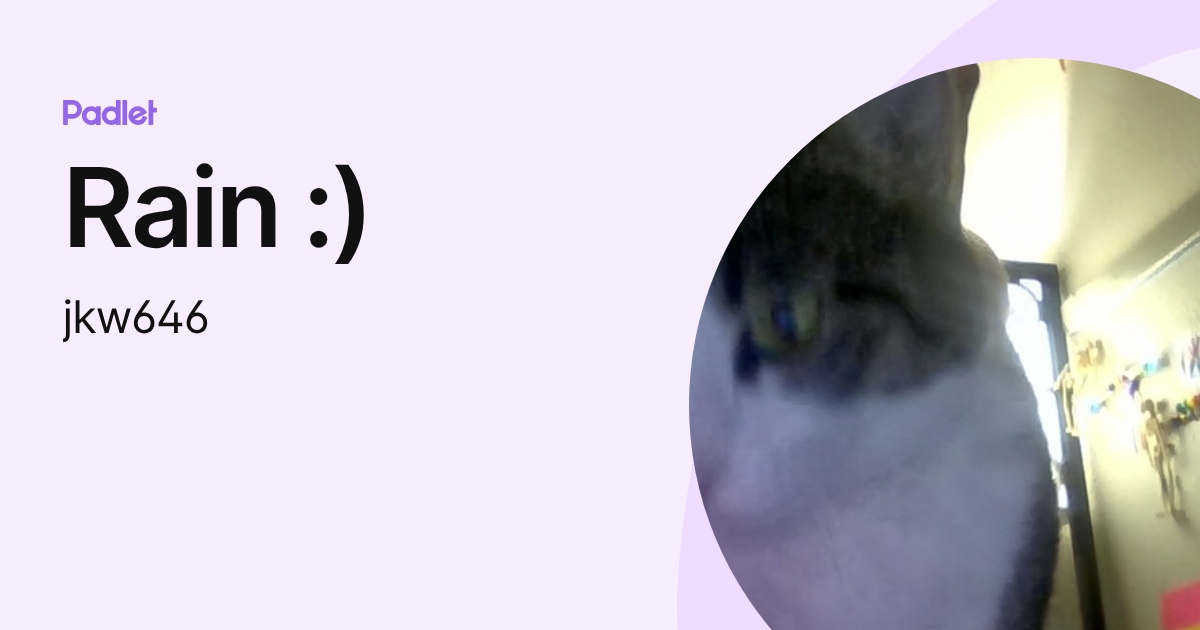 Rain :) (jkw646) profile | Padlet