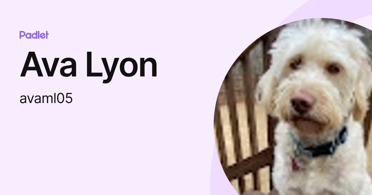 Ava Lyon (avaml05) profile | Padlet