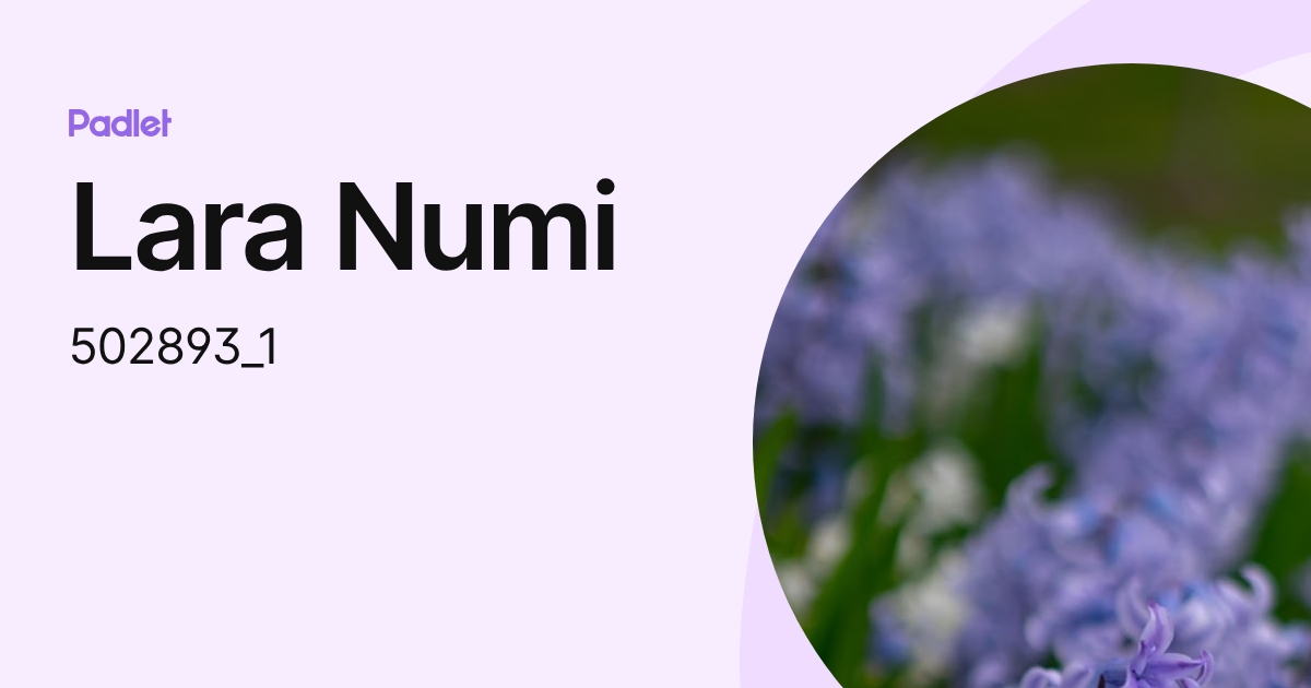 Lara Numi (502893_1) profile | Padlet