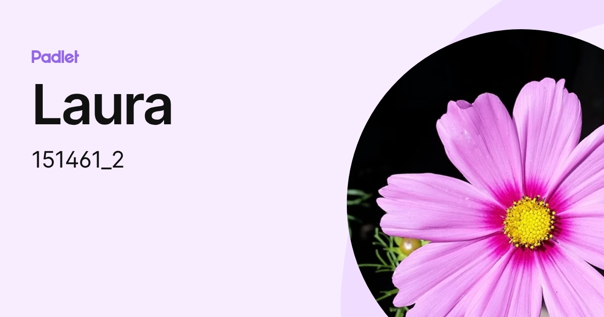 Laura (151461_2) profile | Padlet