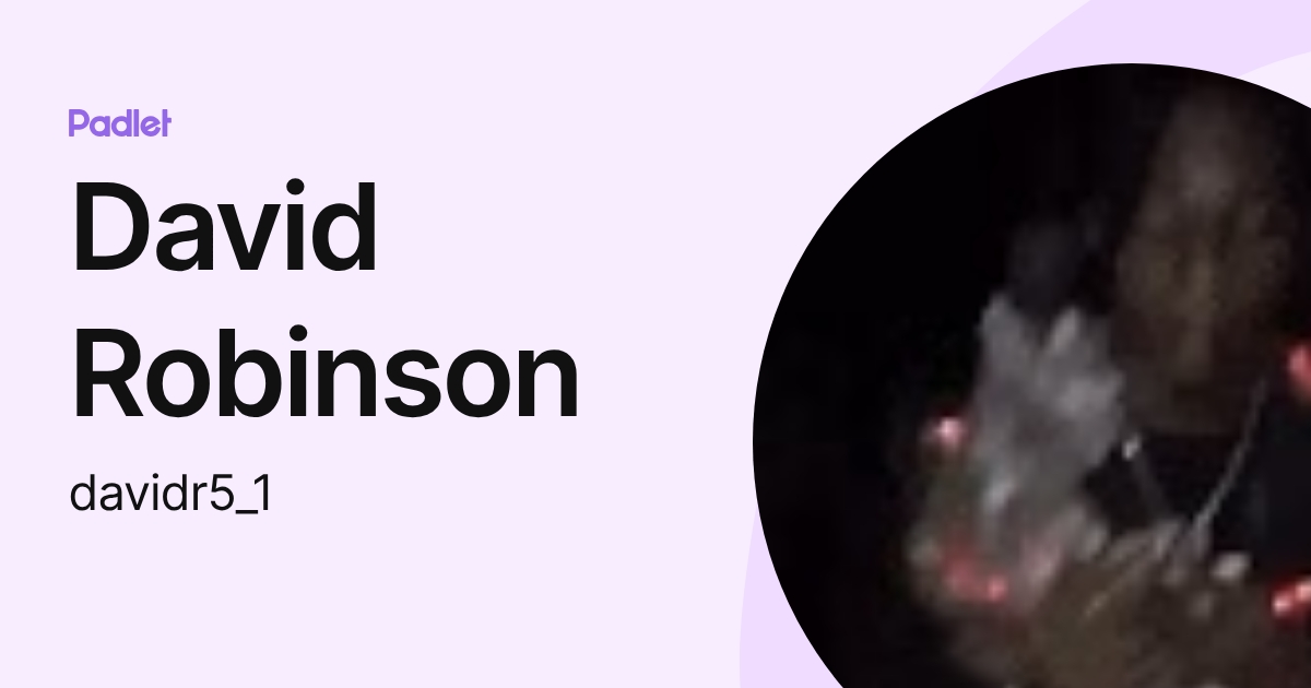 David Robinson (davidr5_1) profile | Padlet
